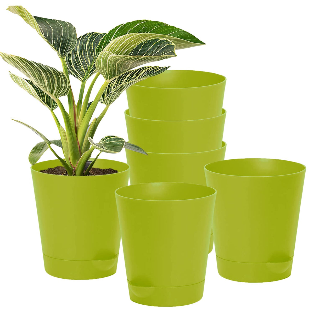 Kuber Industries Plastic Titan Pot|Garden Container for Plants & Flowers|Self-Watering Pot with Drainage Holes,6 Inch,Pack of 6 (Green)