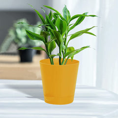 Kuber Industries Plastic Titan Pot|Garden Container for Plants & Flowers|Self-Watering Pot with Drainage Holes,6 Inch,Pack of 6 (Yellow)