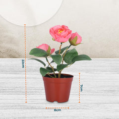 Kuber Industries Artificial Plants for Home Décor|Natural Looking Indoor Fake Plants with Pot|Artificial Flowers for Decoration (Pink)