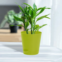 Kuber Industries Plastic Titan Pot|Garden Container for Plants & Flowers|Self-Watering Pot with Drainage Holes,6 Inch,Pack of 2 (Green)