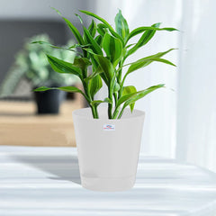 Heart Home Plastic Titan Pot|Garden Container for Plants & Flowers|Self-Watering Pot with Drainage Holes,6 Inch (White)