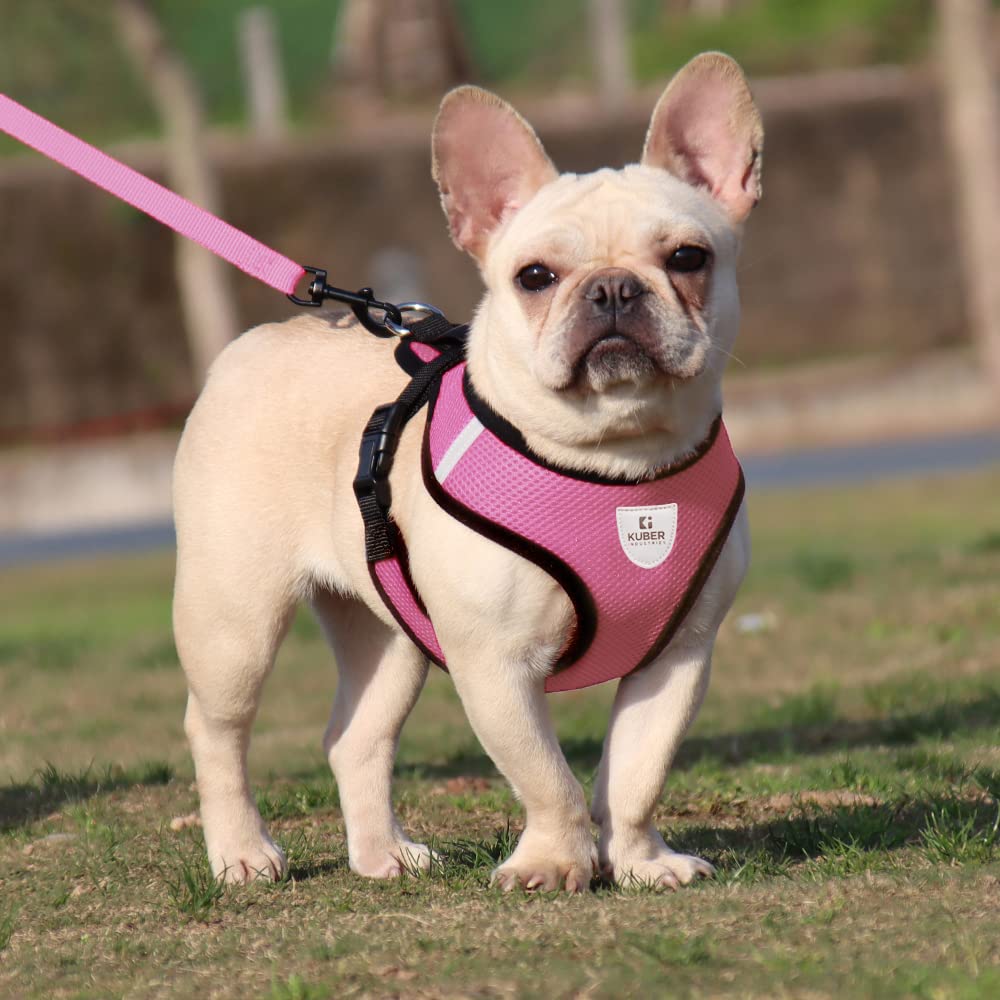 Kuber Industries Small Dog/Cat Chest Harness with Nylon Leash I No Pull, Soft Padded and Breathable Pet Vest I Adjustable, Reflective I Easy Control Pet Chest Belt I (Small,Pink)