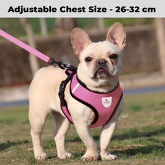 Kuber Industries Dog Harness with Adjustable Leash|Breathable Polyester Mesh|Small Size|Comfortable No-Pull Grip | Quick Release Buckles | Pink Pet Walking Set | Secure and Stylish Dog Harness