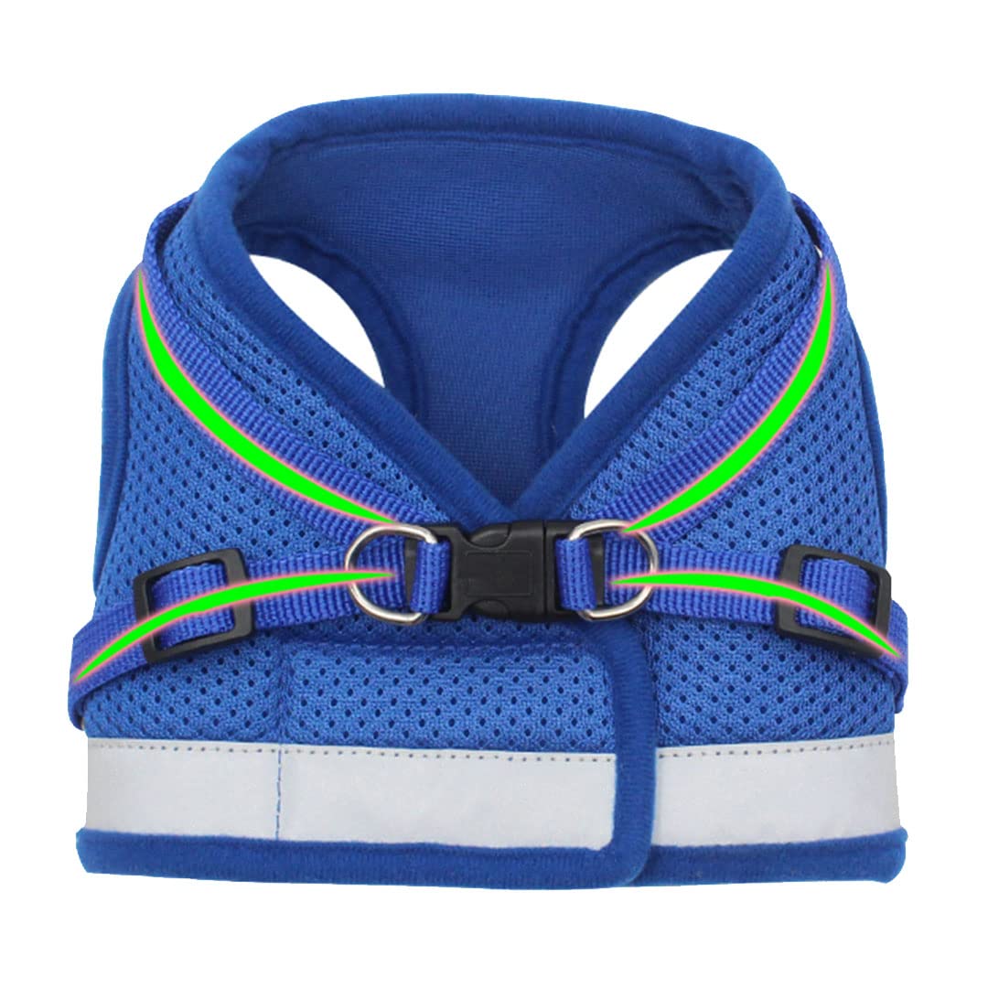 Kuber Industries Dog Harness With Adjustable Leash|Breathable Polyester Mesh Fabric |XS Size|HT-844|Comfortable No-Pull Grip|Quick Release Buckles|Blue