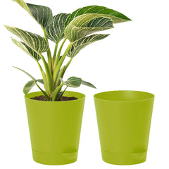 Kuber Industries Plastic Titan Pot|Garden Container for Plants & Flowers|Self-Watering Pot with Drainage Holes,6 Inch,Pack of 2 (Green)