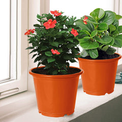 Kuber Industries Plastic Planters|Gamla|Flower Pots for Garden Nursery Home Décor,8"x6",Pack of 10 (Orange)