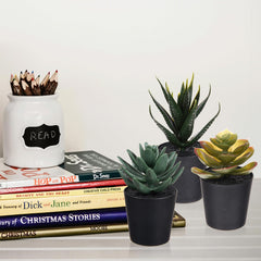 Heart Home Flowers Succulent Plant | Artificial Succulent Plant for office | Flower Succulent Plant for Outdoor | Succulent Plant for Home Décor | Pack of 6 | Black