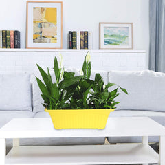Kuber Industries Rectangular Jupiter Plastic Window Pot|Flower Planter for Home & Balcony,Garden 14 Inches Pack of 3 (Yellow)