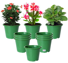 Heart Home Plastic Planters|Gamla|Flower Pots for Garden Nursery Home Décor,8"x6",Pack of 10 (Green)
