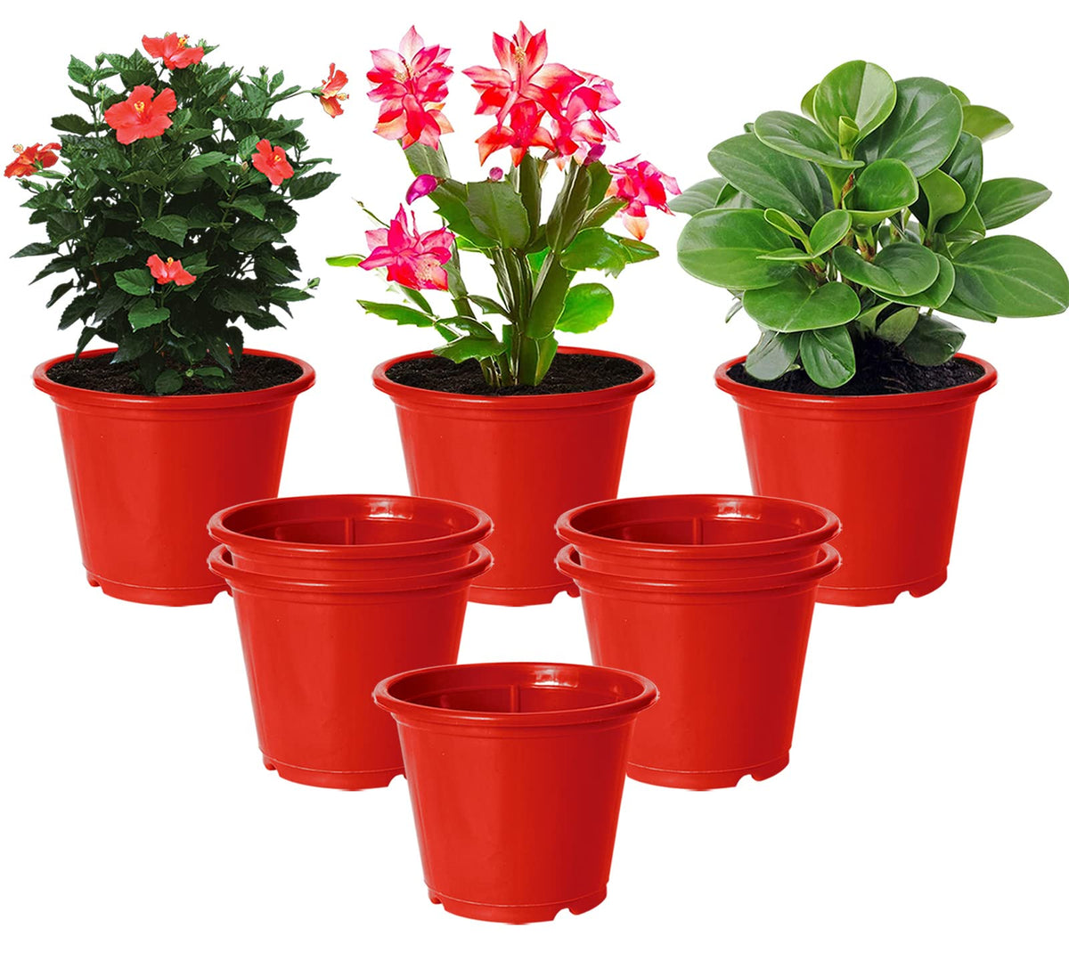 Kuber Industries Durable Plastic Flower Pot|Gamla with Drain Holes for Indoor Home Decor & Outdoor Balcony,Garden,6"x5",Pack of 8 (Red)