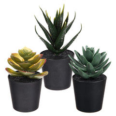 Heart Home Flowers Succulent Plant | Artificial Succulent Plant for office | Flower Succulent Plant for Outdoor | Succulent Plant for Home Décor | Pack of 6 | Black