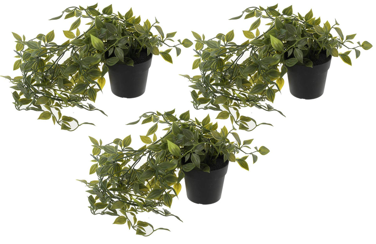 Heart Home Mini Plastic Potted Vine Plant for Home Office Decoration, Plastic Vine with Black Plastic Pots, Fake Plant for Bathroom Décor, (Set of 3, Green)-HEARTXY11606