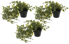Heart Home Mini Plastic Potted Vine Plant for Home Office Decoration, Plastic Vine with Black Plastic Pots, Fake Plant for Bathroom Décor, (Set of 3, Green)-HEARTXY11606