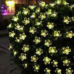 Heart Home Diwali Lights | 14 Flower Fairy Lights for Diwali | Christmas | Home Decoration | Indoor & outdoor | Diwali Lights for Decoration | Crystal Flower | Light Green