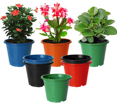 Kuber Industries Plastic Planters|Gamla|Flower Pots for Garden Nursery Home Décor,8"x6",Pack of 8 (Multicolor)