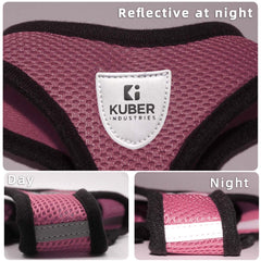 Kuber Industries Dog Harness with Adjustable Leash|Breathable Polyester Mesh|Small Size|Comfortable No-Pull Grip | Quick Release Buckles | Pink Pet Walking Set | Secure and Stylish Dog Harness