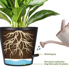 Heart Home Plastic Titan Pot|Garden Container for Plants & Flowers|Self-Watering Pot with Drainage Holes,6 Inch,Pack of 3 (White)