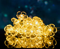 Heart Home Diwali Lights | 14 Flower Fairy Lights for Diwali | Christmas | Home Decoration | Indoor & outdoor | Diwali Lights for Decoration | Crystal Flower | Orange