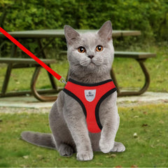 Kuber Industries Small Dog/Cat Chest Harness with Nylon Leash I No Pull, Soft Padded and Breathable Pet Vest I Adjustable, Reflective I Easy Control Pet Chest Belt I (XX-Small,Red)
