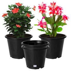 Heart Home Plastic Planters|Gamla|Flower Pots for Garden Nursery Home Décor,8"x6",Pack of 4 (Black)