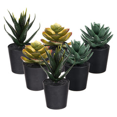 Heart Home Flowers Succulent Plant | Artificial Succulent Plant for office | Flower Succulent Plant for Outdoor | Succulent Plant for Home Décor | Pack of 6 | Black