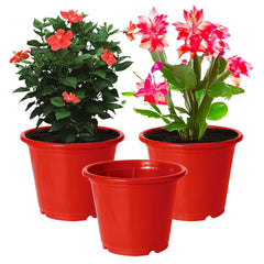Kuber Industries Durable Plastic Flower Pot|Gamla with Drain Holes for Indoor Home Decor & Outdoor Balcony,Garden,6"x5",Pack of 3 (Red)