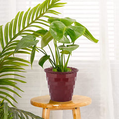 Heart Home Brick Flower Pot|Durable Plastic Flower Pots|Planters for Home Décor|Garden|Living Room|Balcony|8 Inch|Pack of 4 (Maroon)