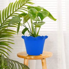 Heart Home Blossom Flower Pot|Durable Plastic Flower Pot|Gamla with Drain Holes for Home Décor|Balcony|Garden|8 Inch|Pack of 3 (Blue)