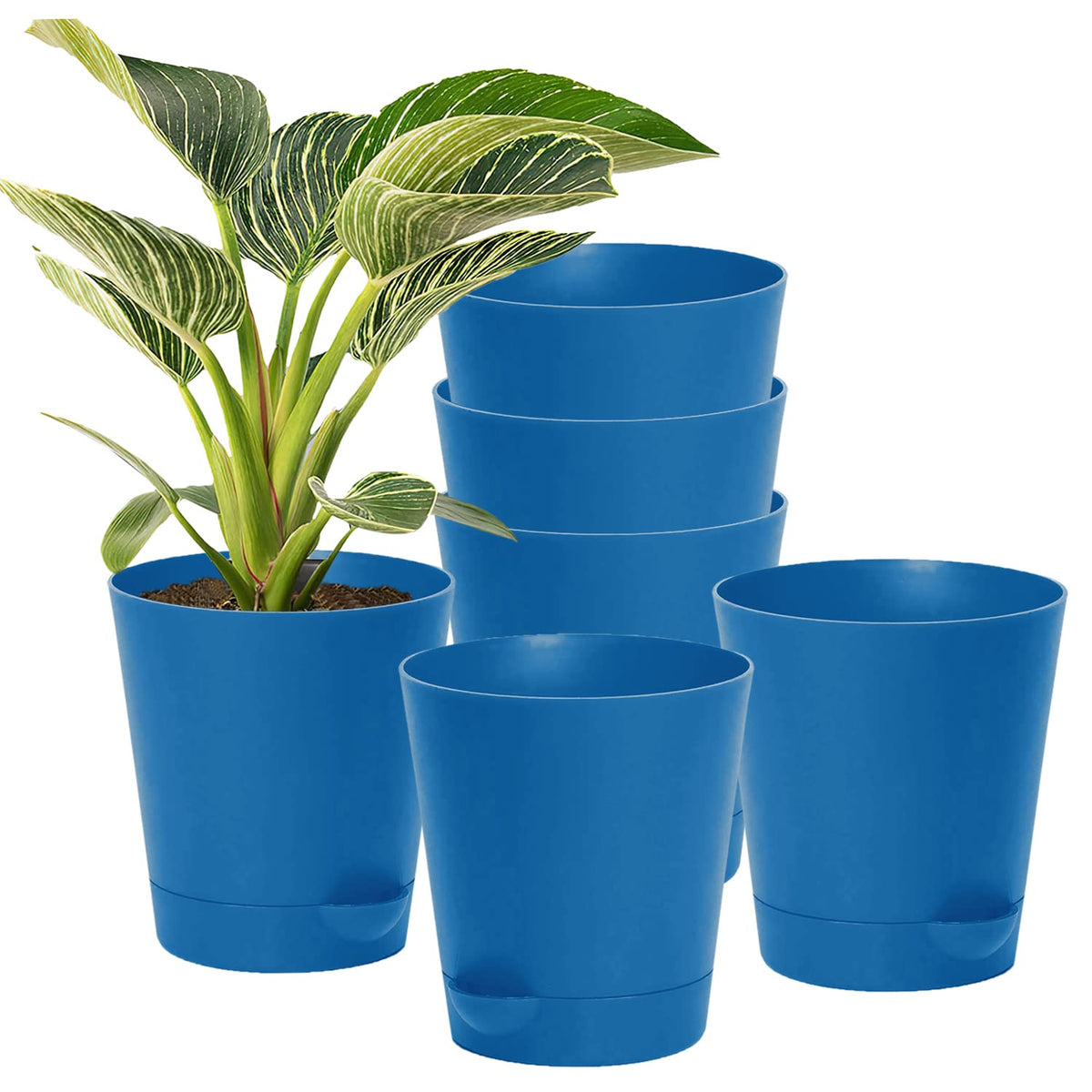 Kuber Industries Plastic Titan Pot|Garden Container for Plants & Flowers|Self-Watering Pot with Drainage Holes,6 Inch,Pack of 6 (Blue)