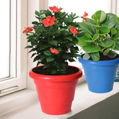 Kuber Industries Solid 2 Layered Plastic Flower Pot|Gamla for Home Decor,Nursery,Balcony,Garden,8"x 6",Pack of 3 (Black & Blue & Red)
