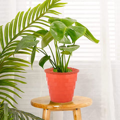 Heart Home Brick Flower Pot|Durable Plastic Flower Pots|Planters for Home Décor|Garden|Living Room|Balcony|8 Inch (Orange)