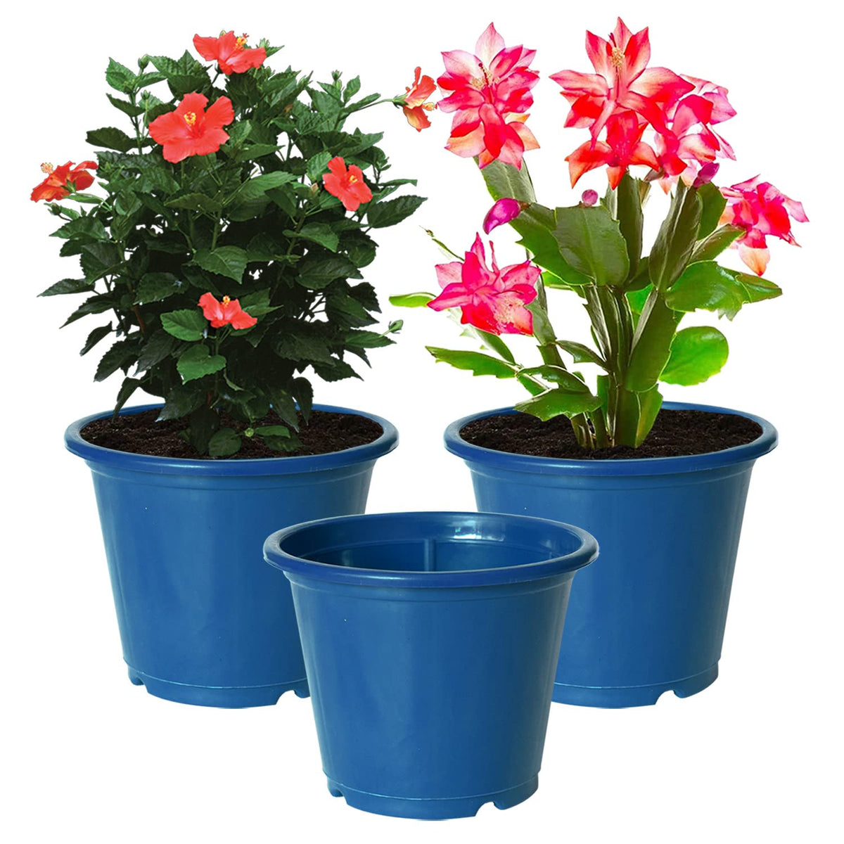 Kuber Industries Plastic Planters|Gamla|Flower Pots for Garden Nursery Home Décor,8"x6",Pack of 3 (Blue)
