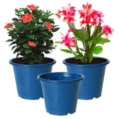 Kuber Industries Plastic Planters|Gamla|Flower Pots for Garden Nursery Home Décor,8"x6",Pack of 3 (Blue)