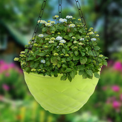 Kuber Industries Diamond Flower Pot|Durable Plastic Hanging Basket Flower Planter with Chain for Home|Garden|Balcony|Pack of 5 (Green)
