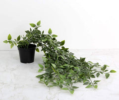 Heart Home Mini Plastic Potted Vine Plant for Home Office Decoration, Plastic Vine with Black Plastic Pots, Fake Plant for Bathroom Décor, (Set of 3, Green)-HEARTXY11606