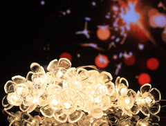 Heart Home Diwali Lights | 14 Flower Fairy Lights for Diwali | Christmas | Home Decoration | Indoor & outdoor | Diwali Lights for Decoration | Crystal Flower | White