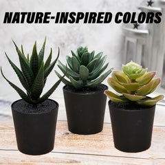 Heart Home Flowers Succulent Plant | Artificial Succulent Plant for office | Flower Succulent Plant for Outdoor | Succulent Plant for Home Décor | Pack of 6 | Black