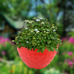 Kuber Industries Diamond Flower Pot|Durable Plastic Hanging Basket Flower Planter with Chain for Home|Garden|Balcony|Pack of 3 (Red)