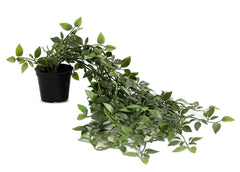 Kuber Industries Artificial Vine Plantswith Plastic Pot (Green) (KUBQMART011602)