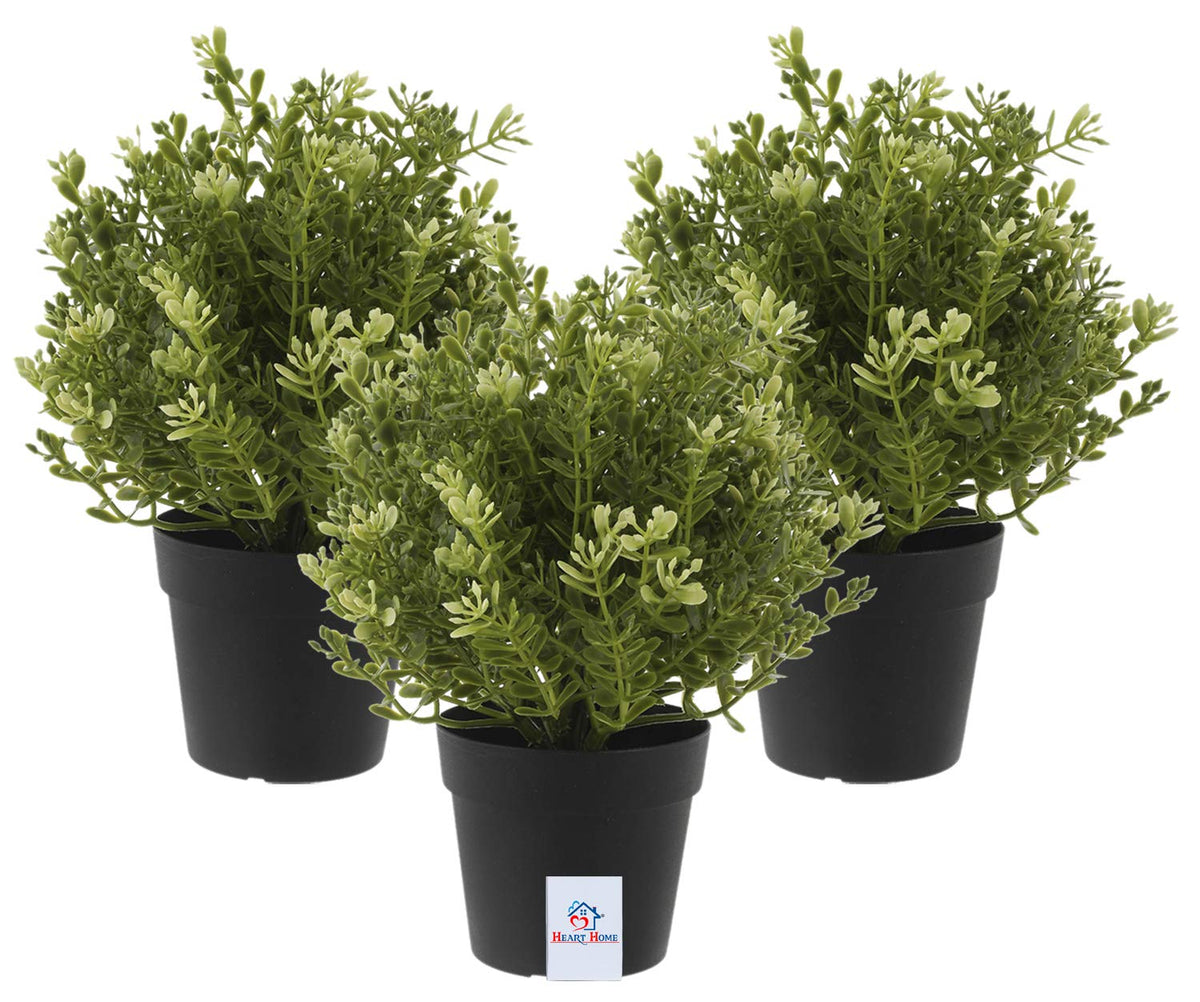 Heart Home 3 Pcs Artificial Plants Small Potted in Black Pot Plastic Fake Green Plant for Office Home Decor Faux Plant for Hanging Baskets, Green-HEARTXY11601 (Model Number: HEARTXY011601)