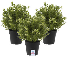 Heart Home 3 Pcs Artificial Plants Small Potted in Black Pot Plastic Fake Green Plant for Office Home Decor Faux Plant for Hanging Baskets, Green-HEARTXY11601 (Model Number: HEARTXY011601)