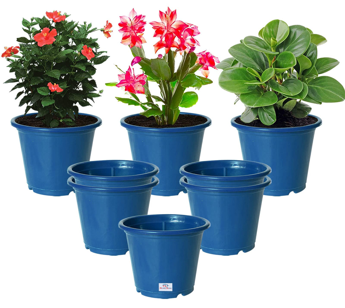 Heart Home Plastic Planters|Gamla|Flower Pots for Garden Nursery Home Décor,8"x6",Pack of 8 (Blue)