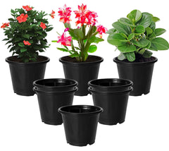 Kuber Industries Plastic Planters|Gamla|Flower Pots for Garden Nursery Home Décor,8"x6",Pack of 8 (Black)