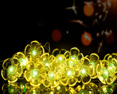 Heart Home Diwali Lights | 14 Flower Fairy Lights for Diwali | Christmas | Home Decoration | Indoor & outdoor | Diwali Lights for Decoration | Crystal Flower | Light Green