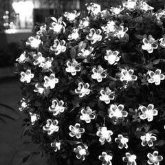 Kuber Industries 28 Led Direct Plug Crystal Flower Designer 10 Meter String Light for Festivals and Home Decoration, White-CTKTC022920