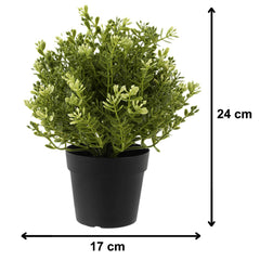 Kuber Industries Mini Plastic Potted Plants for Home Office Decoration, Plastic Plant with Black Plastic Pots, Fake Plant for Bathroom Décor, Green-KUBMART11596