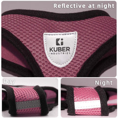 Kuber Industries Dog Harness With Adjustable Leash|Breathable Polyester Mesh|Large Size|HAT-818|Comfortable No-Pull Grip|Quick Release Buckles|Pink