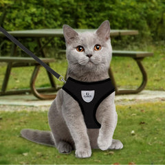 Kuber Industries Small Dog/Cat Chest Harness with Nylon Leash I No Pull, Soft Padded and Breathable Pet Vest I Adjustable, Reflective I Easy Control Pet Chest Belt I (XX-Small,Black)