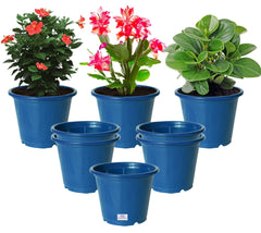 Heart Home Durable Plastic Flower Pot|Gamla with Drain Holes for Indoor Home Decor & Outdoor Balcony,Garden,6"x5",Pack of 8,(Blue)