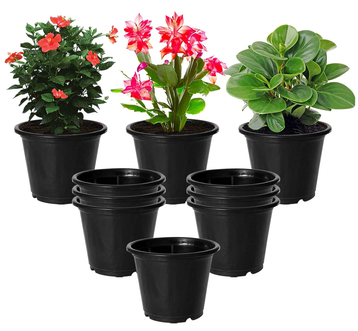 Kuber Industries Plastic Planters|Gamla|Flower Pots for Garden Nursery Home Décor,8"x6",Pack of 10 (Black)